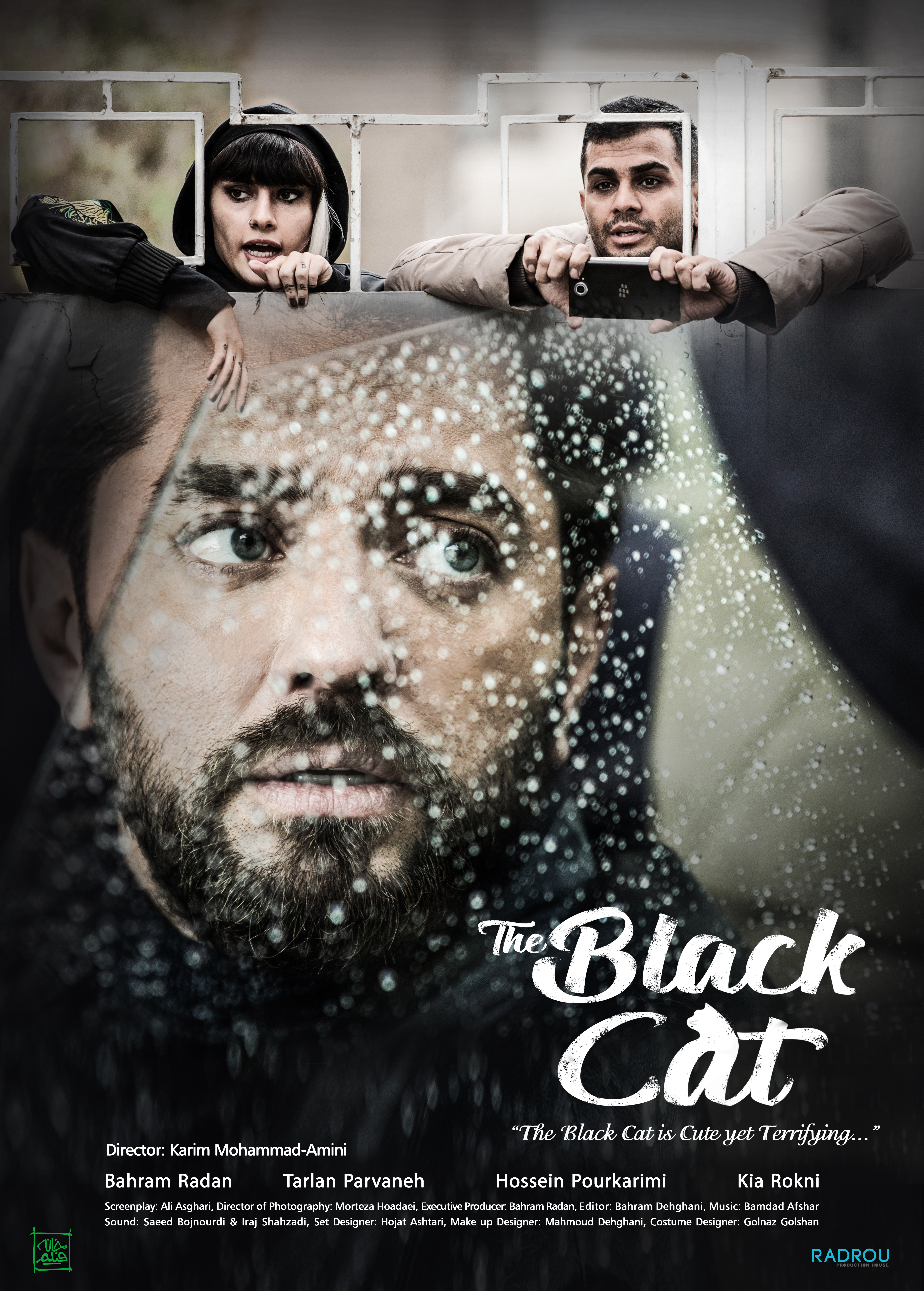 The Black Cat